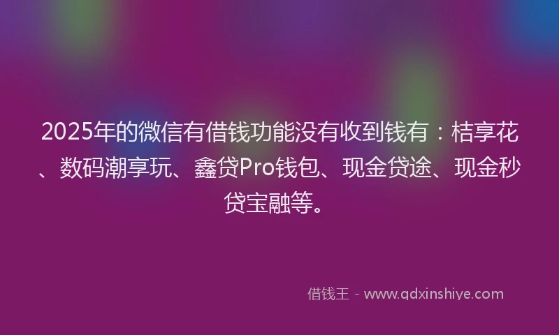 2025年的微信有借钱功能没有收到钱有：桔享花、数码潮享玩、鑫贷Pro钱包、现金贷途、现金秒贷宝融等。