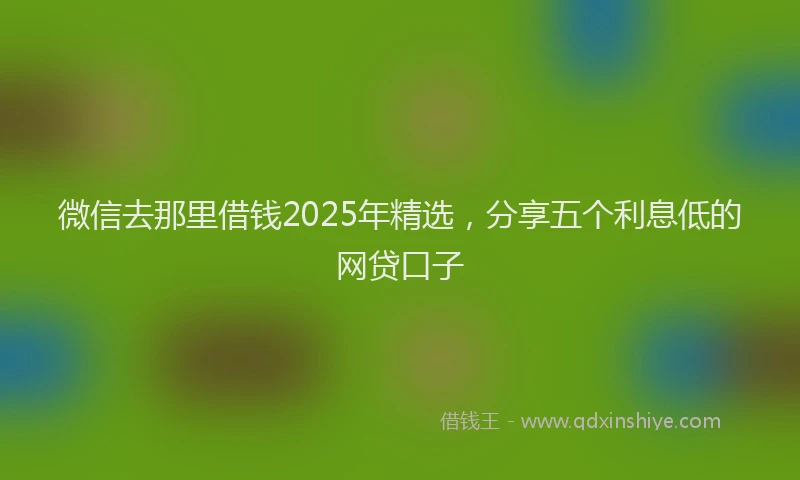 微信去那里借钱2025年精选，分享五个利息低的网贷口子