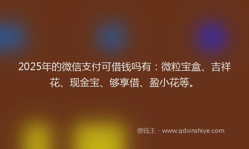2025年的微信支付可借钱吗有：微粒宝盒、吉祥花、现金宝、够享借、盈小花等。