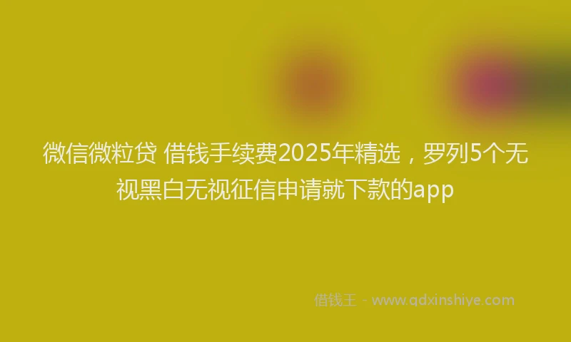 微信微粒贷 借钱手续费2025年精选，罗列5个无视黑白无视征信申请就下款的app
