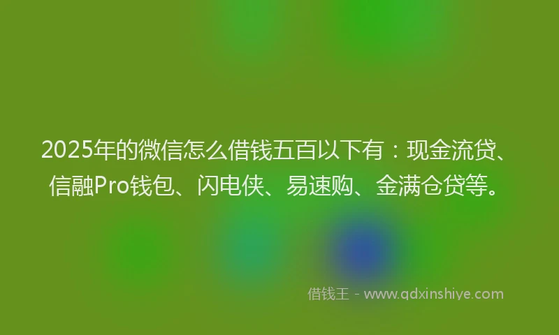 2025年的微信怎么借钱五百以下有：现金流贷、信融Pro钱包、闪电侠、易速购、金满仓贷等。