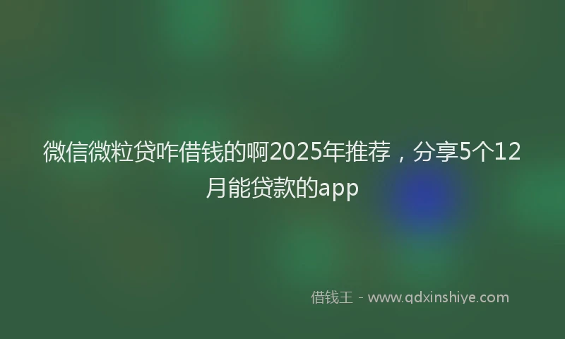 微信微粒贷咋借钱的啊2025年推荐，分享5个12月能贷款的app