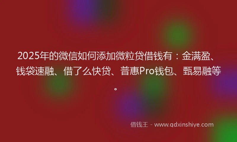 2025年的微信如何添加微粒贷借钱有：金满盈、钱袋速融、借了么快贷、普惠Pro钱包、甄易融等。