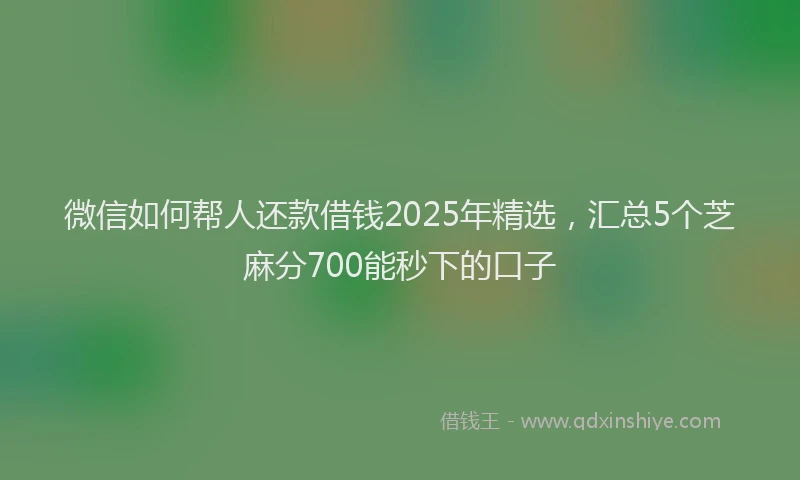 微信如何帮人还款借钱2025年精选，汇总5个芝麻分700能秒下的口子