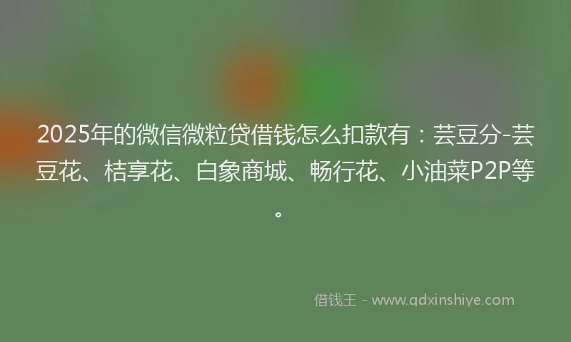 2025年的微信微粒贷借钱怎么扣款有：芸豆分-芸豆花、桔享花、白象商城、畅行花、小油菜P2P等。