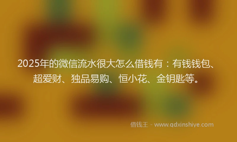2025年的微信流水很大怎么借钱有：有钱钱包、超爱财、独品易购、恒小花、金钥匙等。
