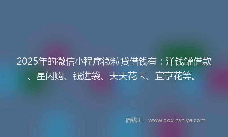 2025年的微信小程序微粒贷借钱有：洋钱罐借款、星闪购、钱进袋、天天花卡、宜享花等。