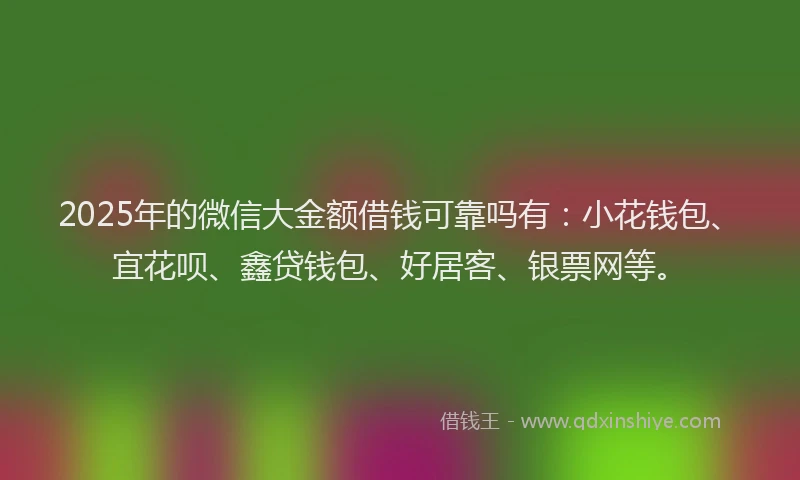 2025年的微信大金额借钱可靠吗有：小花钱包、宜花呗、鑫贷钱包、好居客、银票网等。