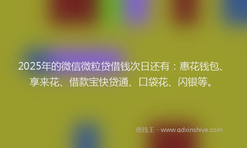 2025年的微信微粒贷借钱次日还有：惠花钱包、享来花、借款宝快贷通、口袋花、闪银等。