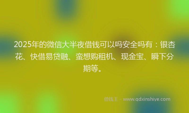 2025年的微信大半夜借钱可以吗安全吗有：银杏花、快借易贷融、蛮想购租机、现金宝、瞬下分期等。