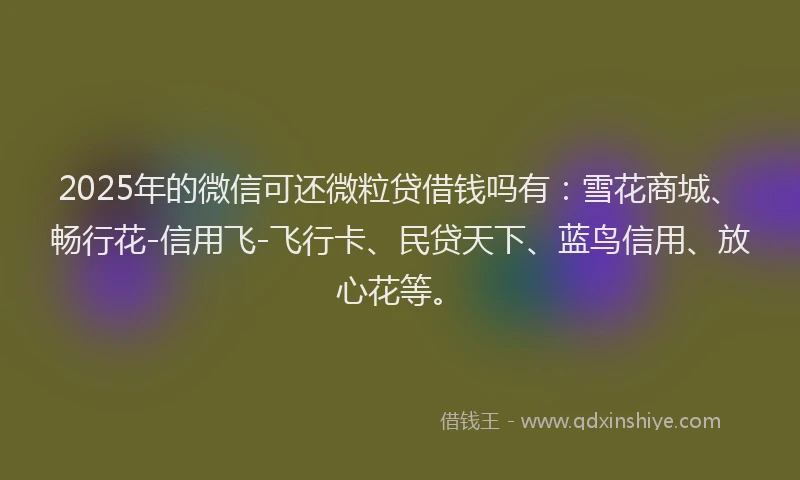 2025年的微信可还微粒贷借钱吗有：雪花商城、畅行花-信用飞-飞行卡、民贷天下、蓝鸟信用、放心花等。
