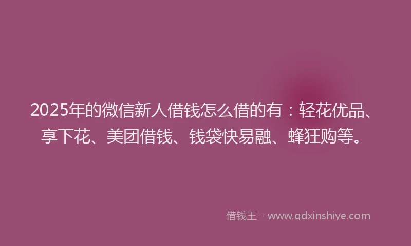 2025年的微信新人借钱怎么借的有：轻花优品、享下花、美团借钱、钱袋快易融、蜂狂购等。