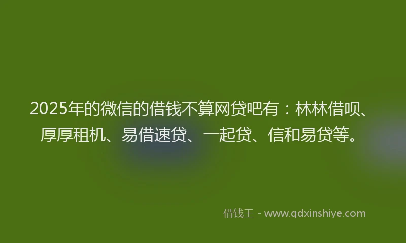 2025年的微信的借钱不算网贷吧有：林林借呗、厚厚租机、易借速贷、一起贷、信和易贷等。