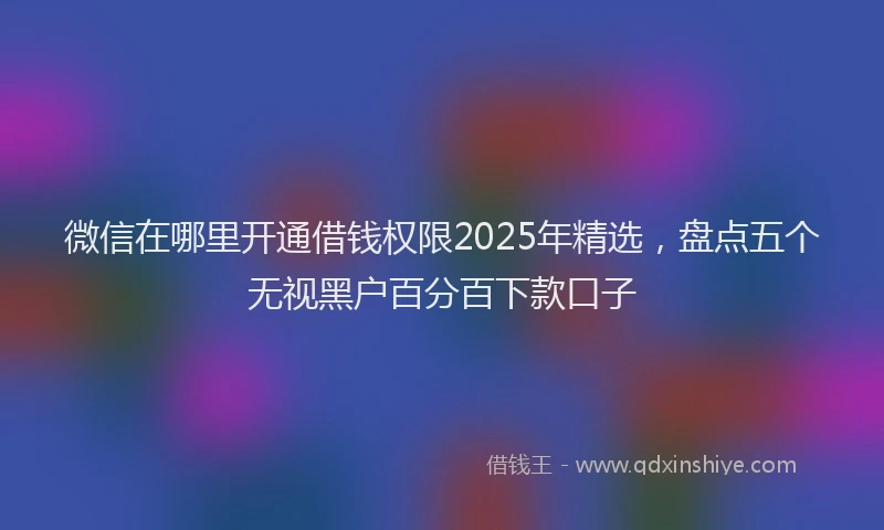 微信在哪里开通借钱权限2025年精选，盘点五个无视黑户百分百下款口子