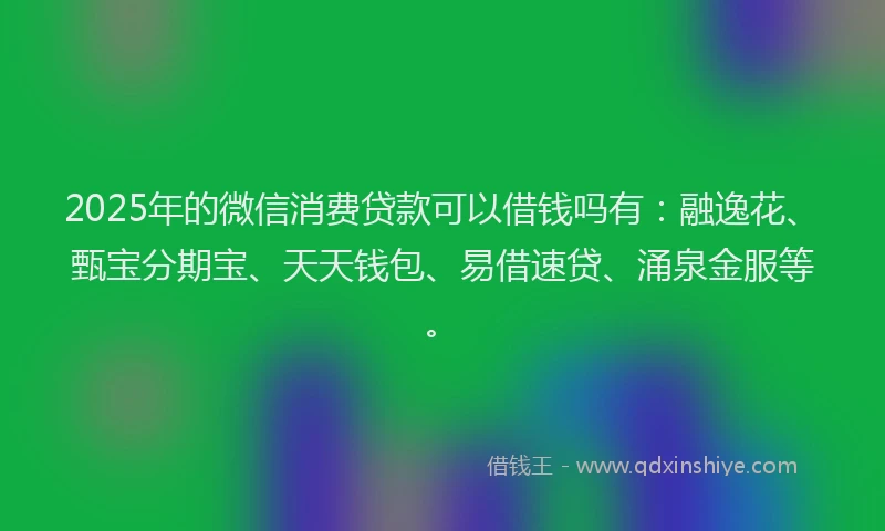 2025年的微信消费贷款可以借钱吗有：融逸花、甄宝分期宝、天天钱包、易借速贷、涌泉金服等。