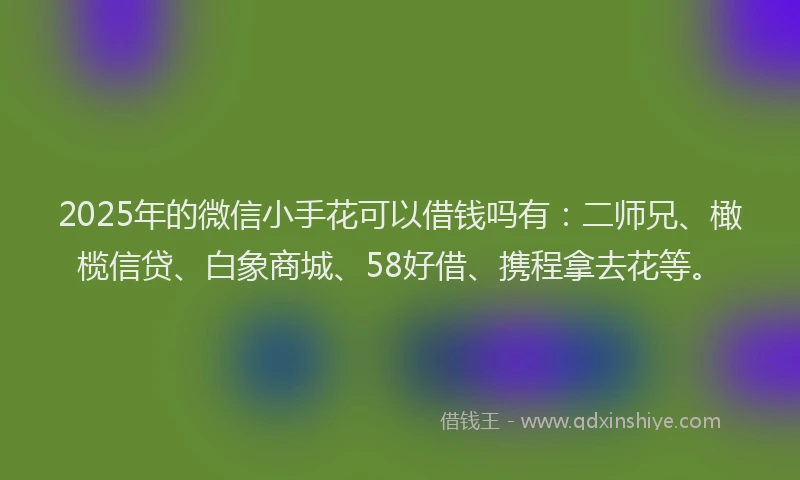 2025年的微信小手花可以借钱吗有：二师兄、橄榄信贷、白象商城、58好借、携程拿去花等。
