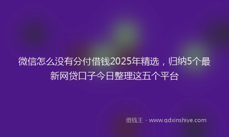 微信怎么没有分付借钱2025年精选，归纳5个最新网贷口子今日整理这五个平台