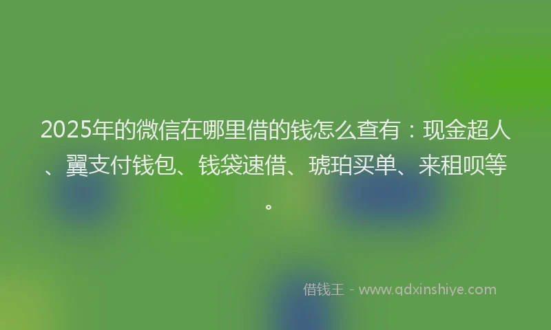 2025年的微信在哪里借的钱怎么查有：现金超人、翼支付钱包、钱袋速借、琥珀买单、来租呗等。