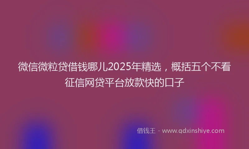 微信微粒贷借钱哪儿2025年精选，概括五个不看征信网贷平台放款快的口子