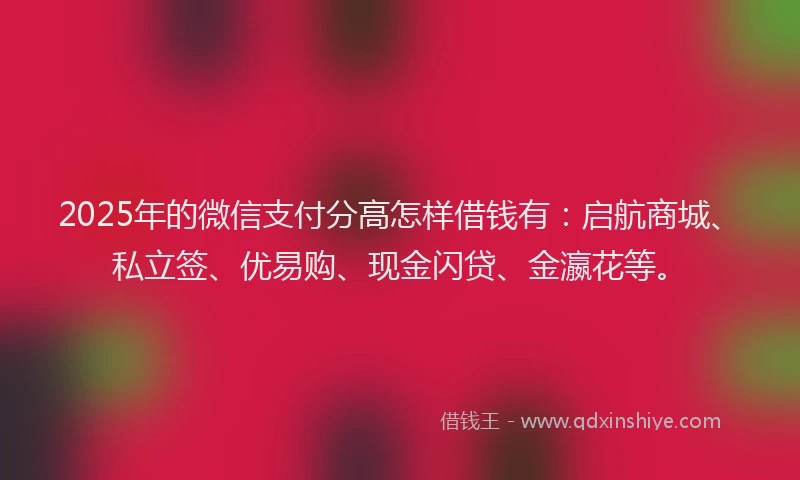 2025年的微信支付分高怎样借钱有：启航商城、私立签、优易购、现金闪贷、金瀛花等。