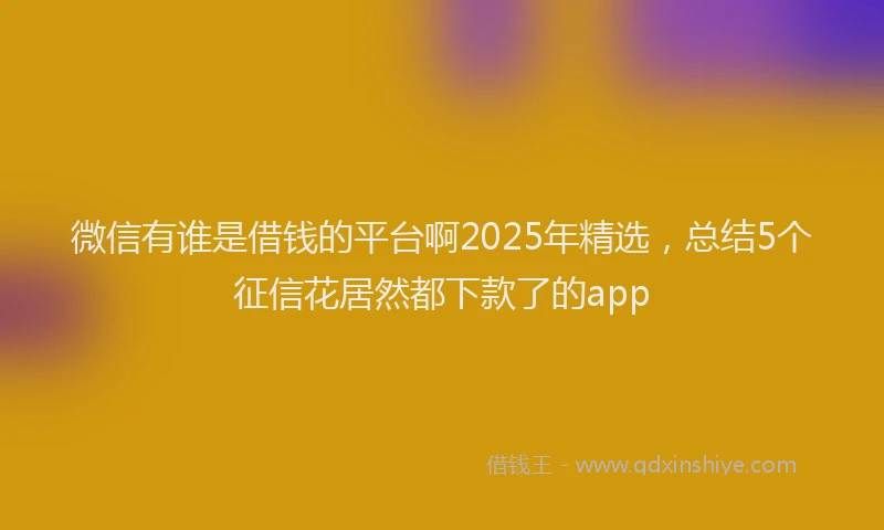 微信有谁是借钱的平台啊2025年精选，总结5个征信花居然都下款了的app