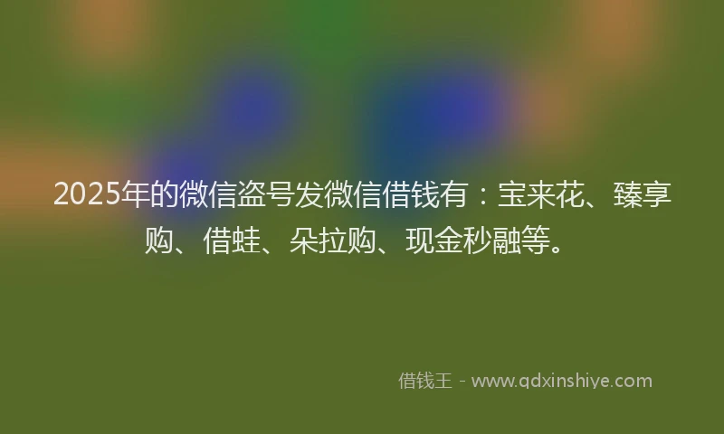 2025年的微信盗号发微信借钱有：宝来花、臻享购、借蛙、朵拉购、现金秒融等。