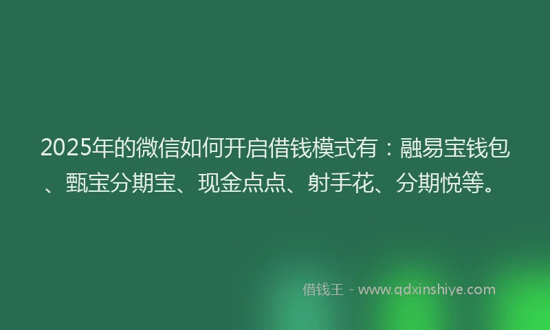 2025年的微信如何开启借钱模式有：融易宝钱包、甄宝分期宝、现金点点、射手花、分期悦等。