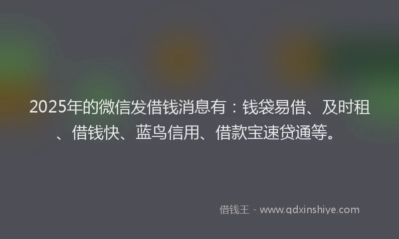 2025年的微信发借钱消息有：钱袋易借、及时租、借钱快、蓝鸟信用、借款宝速贷通等。
