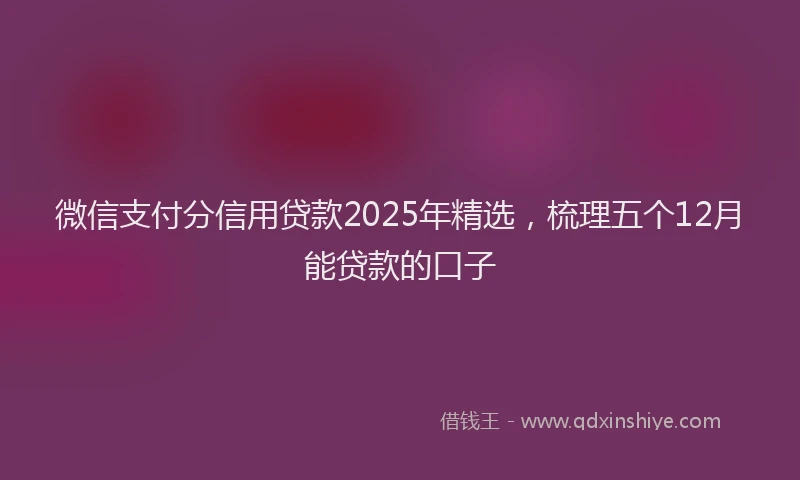 微信支付分信用贷款2025年精选，梳理五个12月能贷款的口子