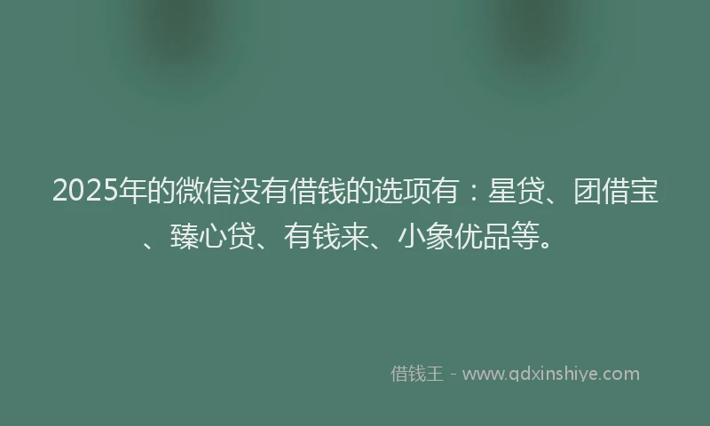 2025年的微信没有借钱的选项有：星贷、团借宝、臻心贷、有钱来、小象优品等。