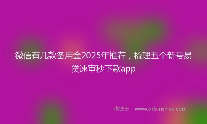 微信有几款备用金2025年推荐，梳理五个新号易贷速审秒下款app
