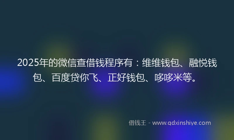 2025年的微信查借钱程序有：维维钱包、融悦钱包、百度贷你飞、正好钱包、哆哆米等。