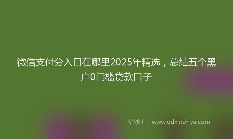 微信支付分入口在哪里2025年精选，总结五个黑户0门槛贷款口子