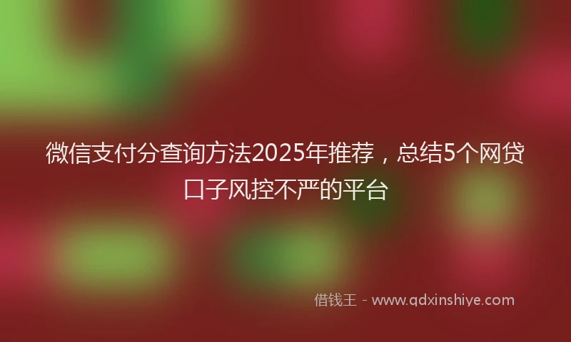 微信支付分查询方法2025年推荐，总结5个网贷口子风控不严的平台