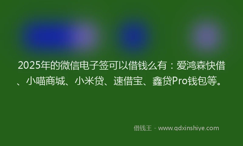 2025年的微信电子签可以借钱么有：爱鸿森快借、小喵商城、小米贷、速借宝、鑫贷Pro钱包等。