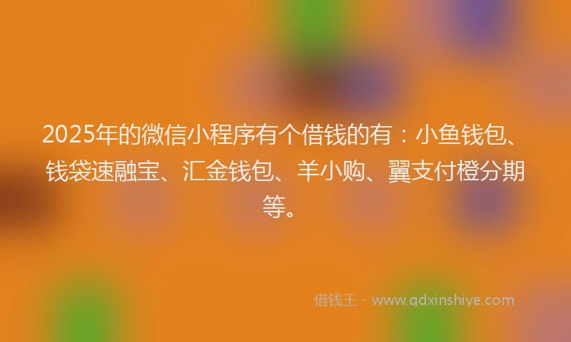 2025年的微信小程序有个借钱的有：小鱼钱包、钱袋速融宝、汇金钱包、羊小购、翼支付橙分期等。