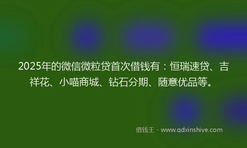 2025年的微信微粒贷首次借钱有：恒瑞速贷、吉祥花、小喵商城、钻石分期、随意优品等。