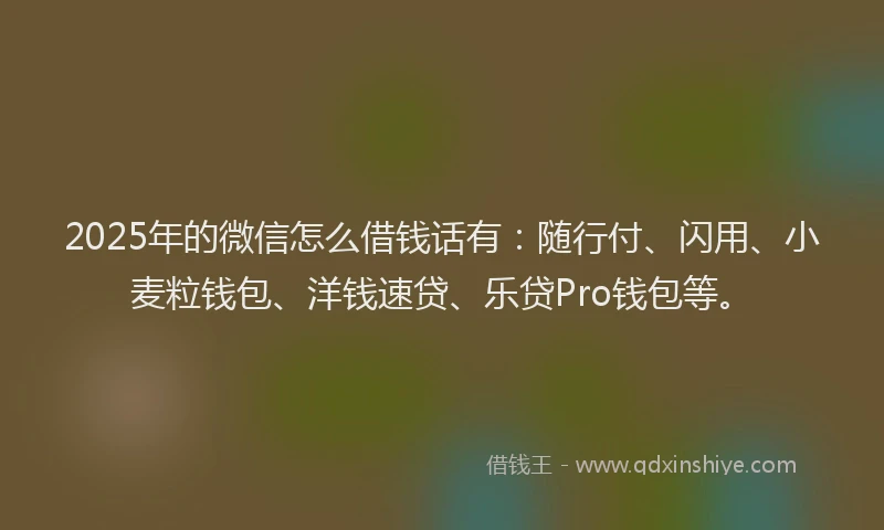 2025年的微信怎么借钱话有：随行付、闪用、小麦粒钱包、洋钱速贷、乐贷Pro钱包等。