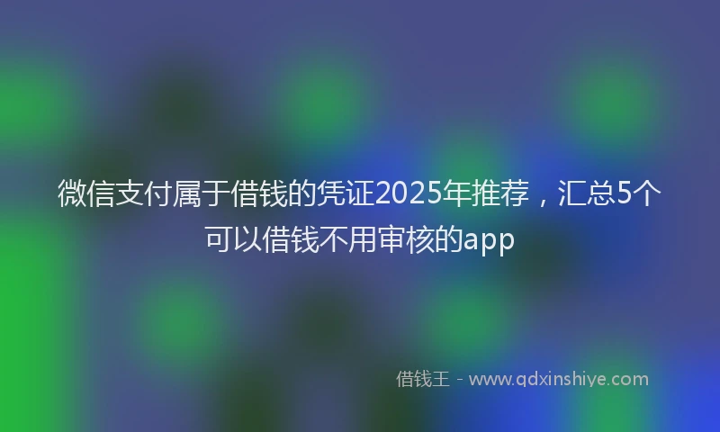 微信支付属于借钱的凭证2025年推荐，汇总5个可以借钱不用审核的app
