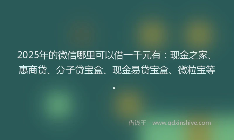 2025年的微信哪里可以借一千元有：现金之家、惠商贷、分子贷宝盒、现金易贷宝盒、微粒宝等。