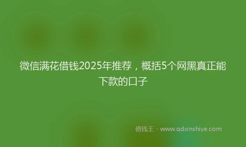 微信满花借钱2025年推荐，概括5个网黑真正能下款的口子