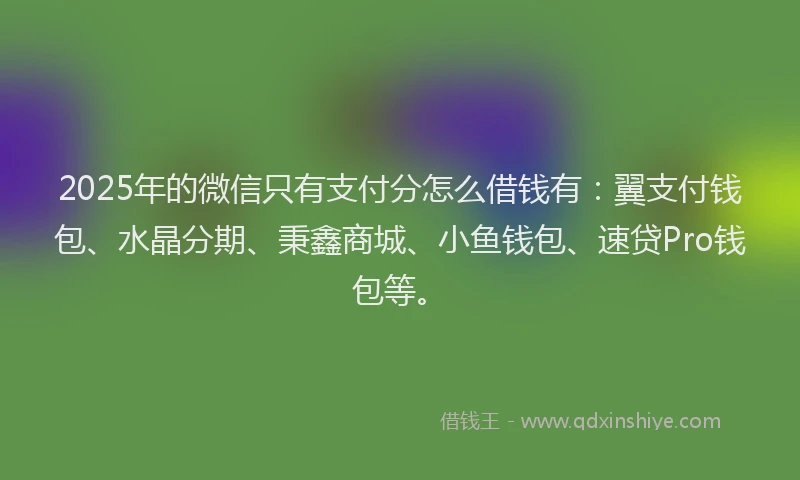 2025年的微信只有支付分怎么借钱有：翼支付钱包、水晶分期、秉鑫商城、小鱼钱包、速贷Pro钱包等。
