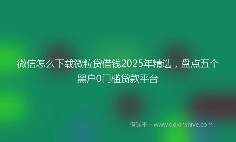 微信怎么下载微粒贷借钱2025年精选，盘点五个黑户0门槛贷款平台