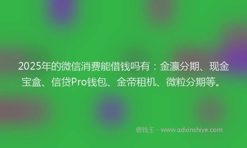 2025年的微信消费能借钱吗有：金瀛分期、现金宝盒、信贷Pro钱包、金帝租机、微粒分期等。