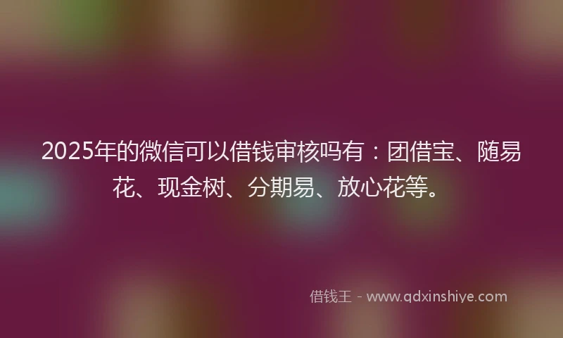 2025年的微信可以借钱审核吗有：团借宝、随易花、现金树、分期易、放心花等。