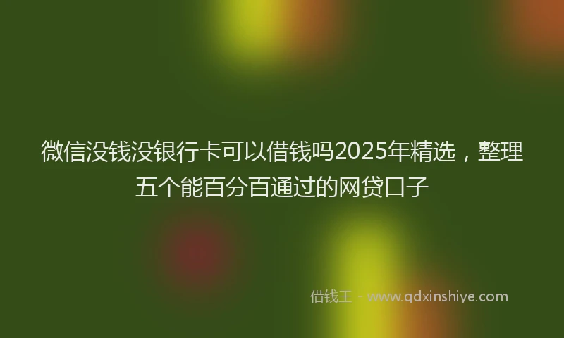 微信没钱没银行卡可以借钱吗2025年精选，整理五个能百分百通过的网贷口子