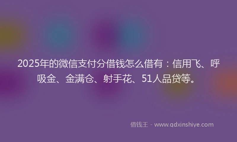 2025年的微信支付分借钱怎么借有：信用飞、呼吸金、金满仓、射手花、51人品贷等。