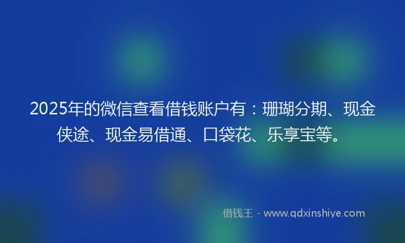 2025年的微信查看借钱账户有：珊瑚分期、现金侠途、现金易借通、口袋花、乐享宝等。