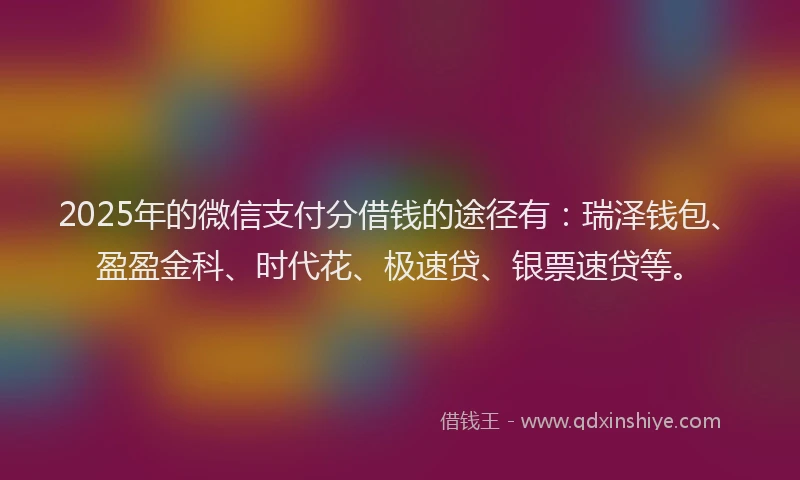 2025年的微信支付分借钱的途径有：瑞泽钱包、盈盈金科、时代花、极速贷、银票速贷等。