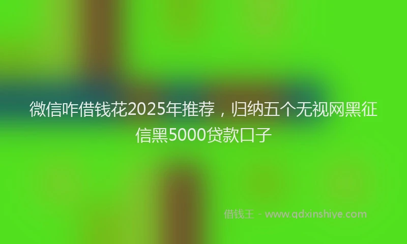 微信咋借钱花2025年推荐，归纳五个无视网黑征信黑5000贷款口子
